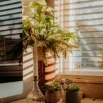 resized_110628